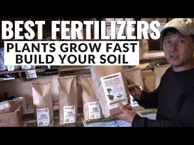 Best Natural Fertilizers for Faster Plant Growth that Build Soil