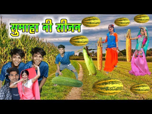 सुमाहा नी सीजन // sumaha ni sijan // Subhash vasuniya new timli sattich vasuniya dance video