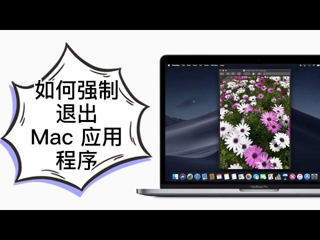 mac应用无响应？如何强制退出Mac 应用程序