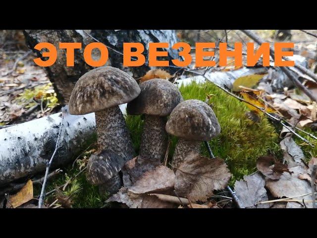 В этот день мне особенно везло