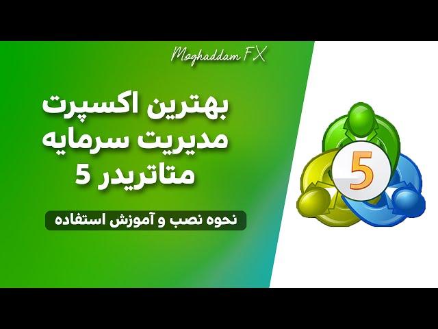 بهترین اکسپرت مدیریت سرمایه متا تریدر 5 Metatrader 5 Money Management Expert