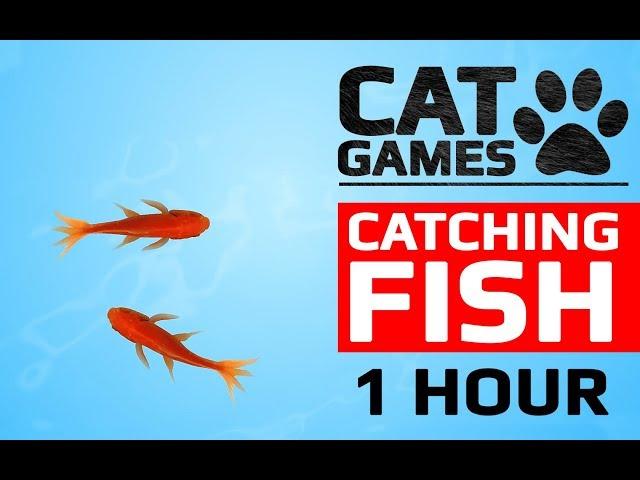 CAT GAMES -  CATCHING FISH 1 HOUR VERSION (VIDEOS FOR CATS TO WATCH)