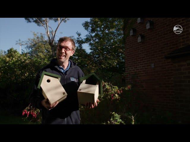 Bird Boxes & Where to Put Them | RSPB