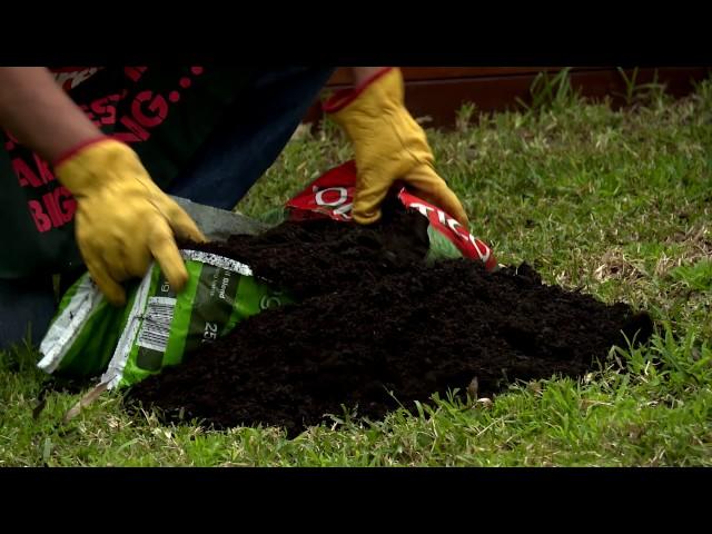 How To Top Dress & Aerate Your Lawn - D.I.Y. At Bunnings