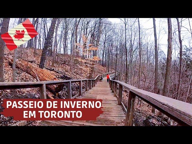 ONDE IR EM TORONTO NO INVERNO - Walk | Clima - Viajar para o Canadá