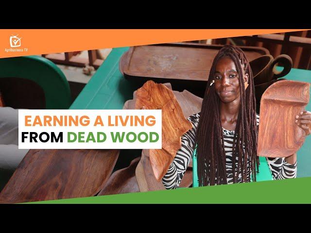 Burkina Faso: Earning a living from dead wood