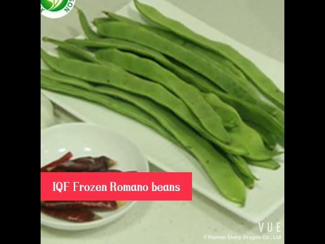 Frozen Romano Beans -- Xiamen Sharp Dragon