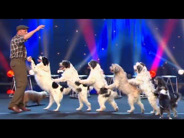 Wolfgang Lauenburger - Dressage de Chiens - Le Plus Grand Cabaret Du Monde