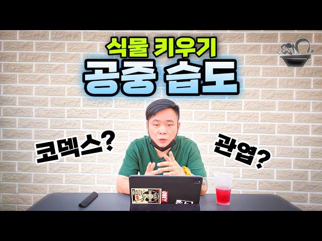 식물을 고습도로 키워야 좋다고요? / 식물과 공중 습도 관리에 대한 팩트 체크