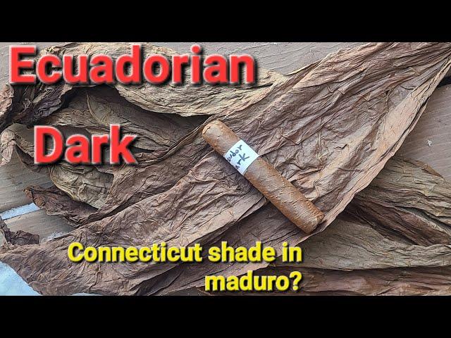 Tasting Notes - Ecuadorian Dark