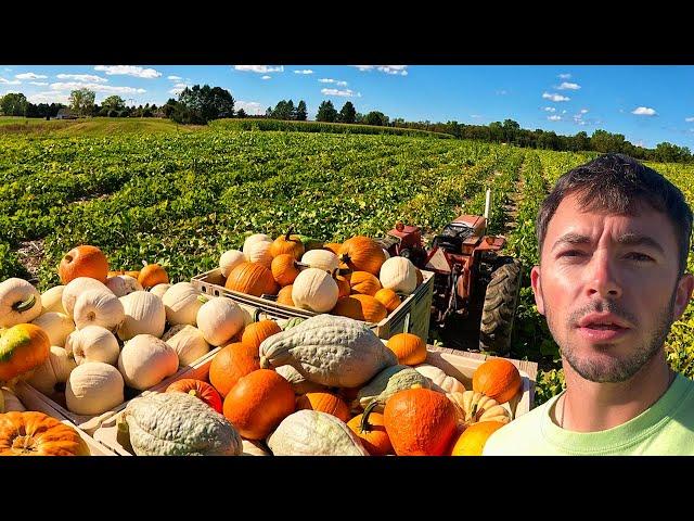 Pumpkin Picking Season Is Here