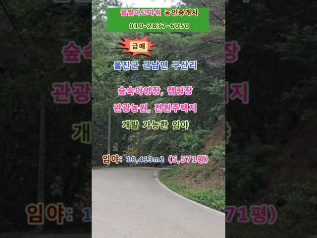 (급매) 울진군 근남면 구산리 개발가능한 임야 5,571평 (협의가능)