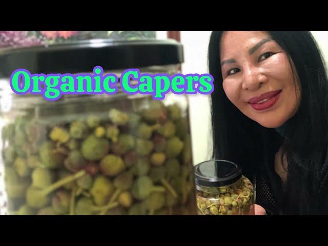 Preserving Organic Capers: Simple easy methods to store and enjoy organic capers