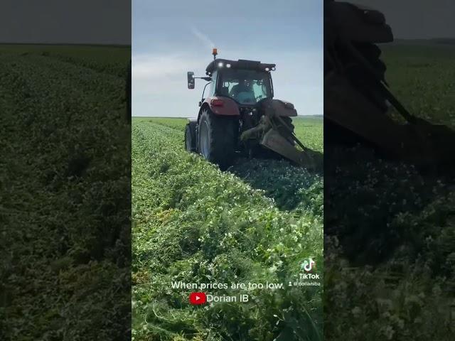 When prices are too low. Poor farming.