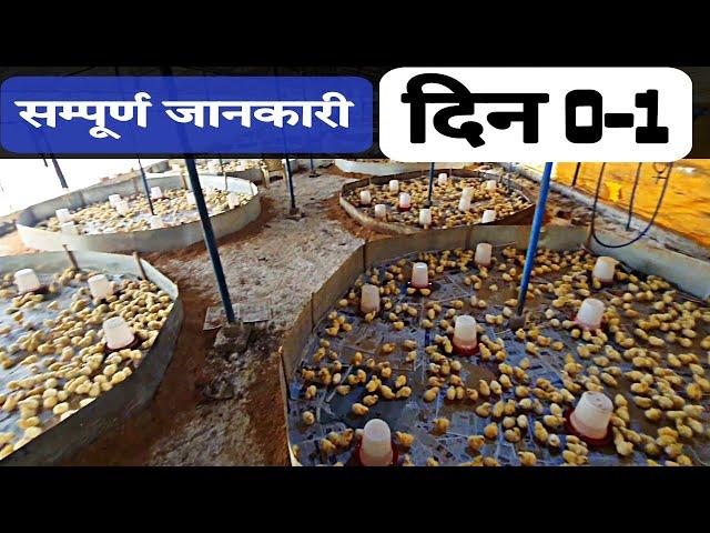 poultry farm me 0 din aur 1 din ki poori jankari