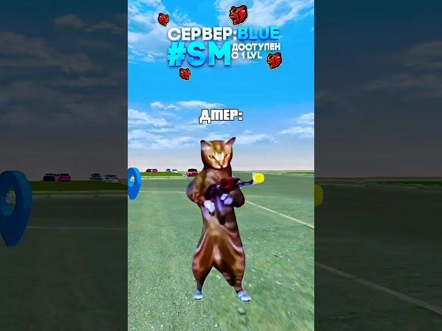  Играю на сервере: BLUE Мой промокод: #SM  #blackrussia #crmp #блекраша #crmpmobile #крмпмобайл