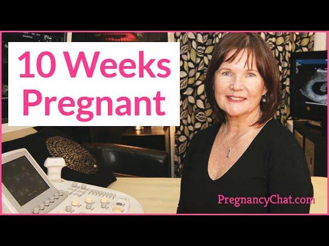 "10 Weeks Pregnant" by PregnancyChat.com @PregChat