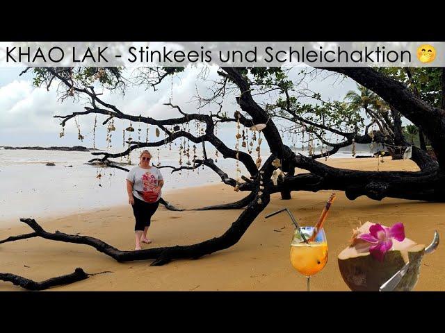 Stinke-Eis, viele Gekkos und Schleichaktionen! - Thailand Reise