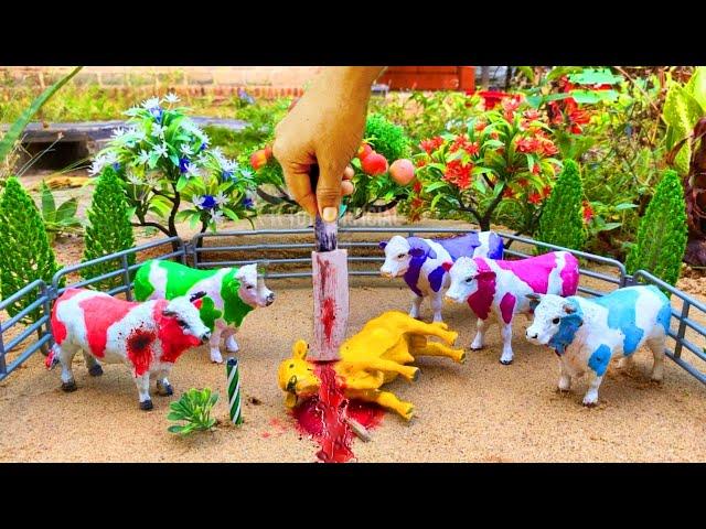 wadidau ‼️ process potong sapi kurban | new cow  vlog | cow video | video 8 | falak toys