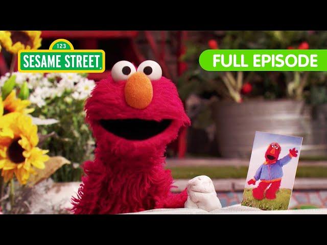 Happy Father's Day Celebration! | Sesame Street Full Episode