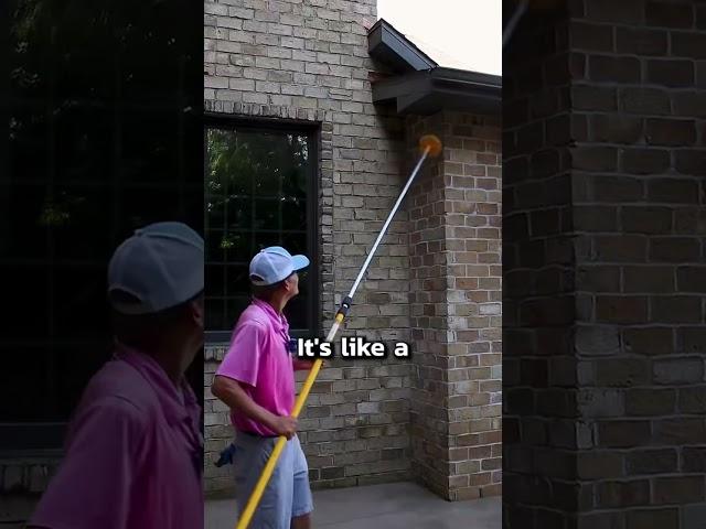 How to remove a wasp nest DIY