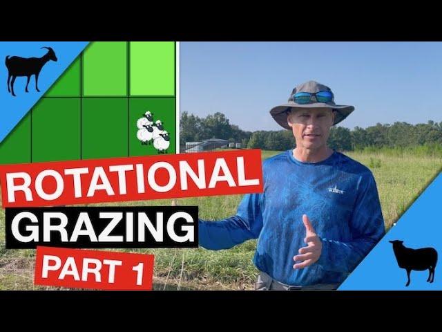 Rotational Grazing Part 1: Concept and Benefits