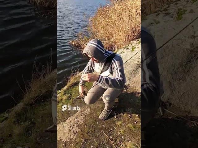 Українська рибалка | Рибалка в кайф #рибалка #риболовля