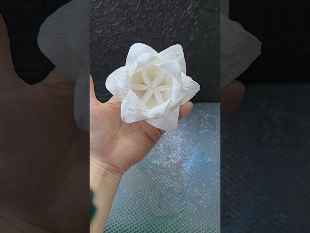 It's easy to make roses this beautiful with tissue paper