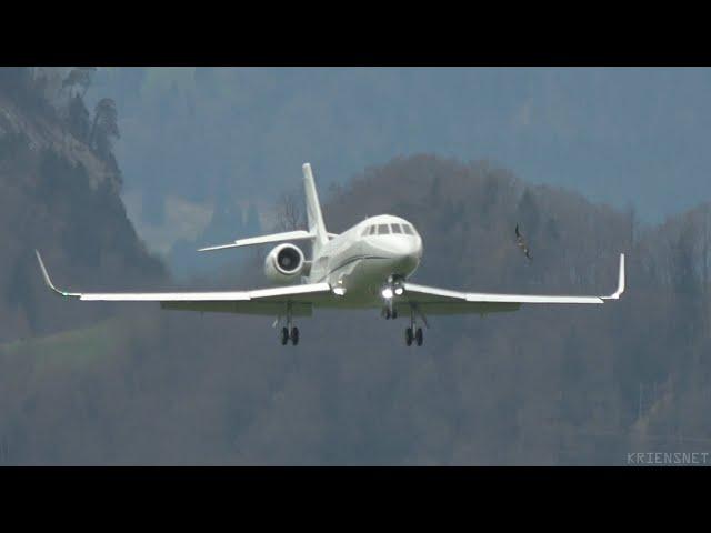 Bird Strike while landing - Dassault Falcon 2000LX