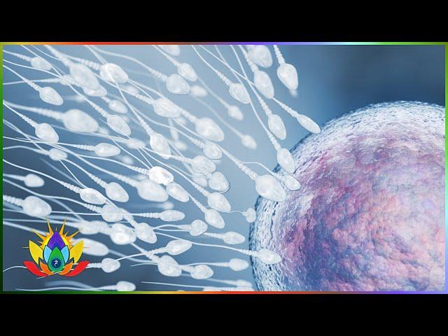 Boost Your Sperm Count Fast Subliminal | Affirmations For Cure Sperm Motility, Increase & Production