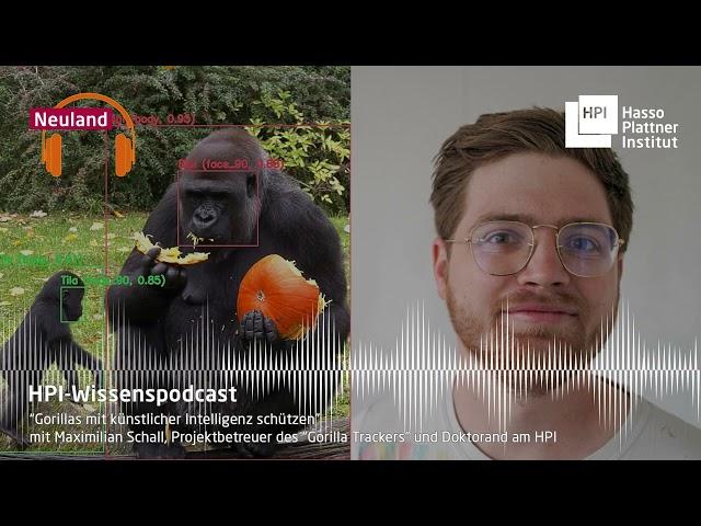 Gorillas mit Künstlicher Intelligenz schützen | HPI-Wissenspodcast "Neuland"