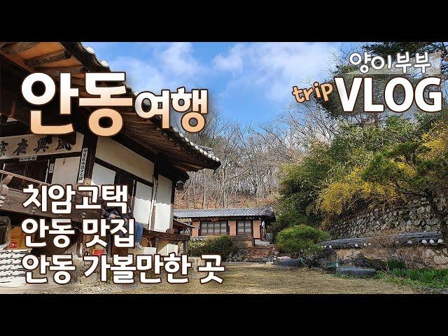 Travel to Korea Vlog) Andong, Gyeongsangbuk-do, Korea, a city of World Heritage.