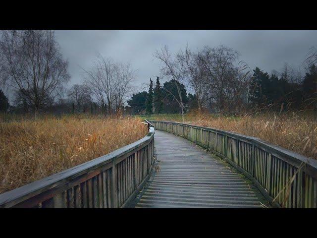 London Rain Walk in Regent’s Park - Quiet Weekend Ambience