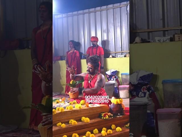 ️ Maa Aghorakaali Hawan ️ #aghori #guru #Manikandan #maharaj #trendingreels #kamakhyatemple