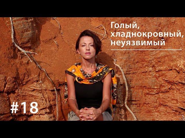 Голый, хладнокровный, неуязвимый // Все как у зверей #18