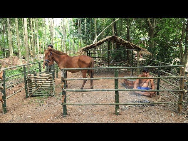 Build Hut for horse - House horse