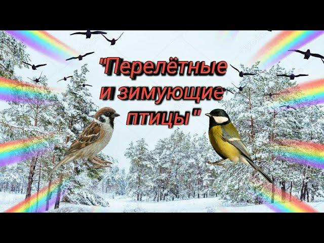 Предшкола. Естествознание . " Перелётные и зимующие  птицы "