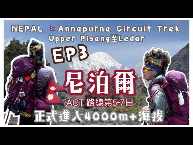 尼泊爾行山3️⃣2025ACT 安納布爾納環線徒步山旅 EP3[海外登山分享] 4k拍攝｜由Upper Pisang至Ledar｜第5-7日ACT行旅️正式步進四千米海拔｜［廣東話］