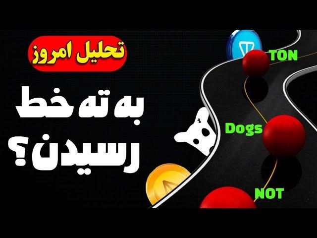 ارز های محبوب به ته خط رسیدند!!! تحلیل جامع تون‌ کوین TON - نات کوین NOT - داگز Dogs