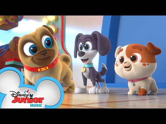 New Playcare for Puppies!  | Puppy Dog Pals | @Disney Junior