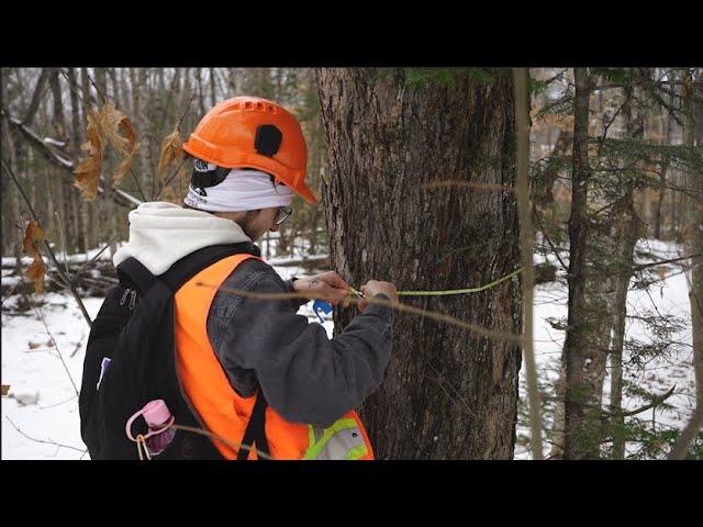 Forestry Technician - Partnership with Petawawa Research Forest