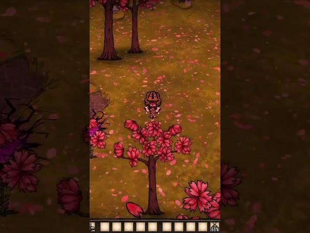 DST - Cherry forest