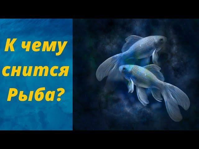 К чему снится Рыба? Сонник Миллера. Сонник Толкование Снов