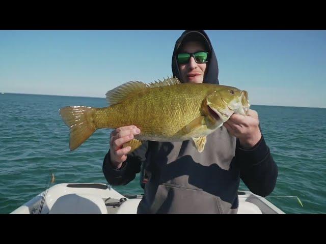 Top 3 Biggest Spring Smallmouth Bass! (compilation)