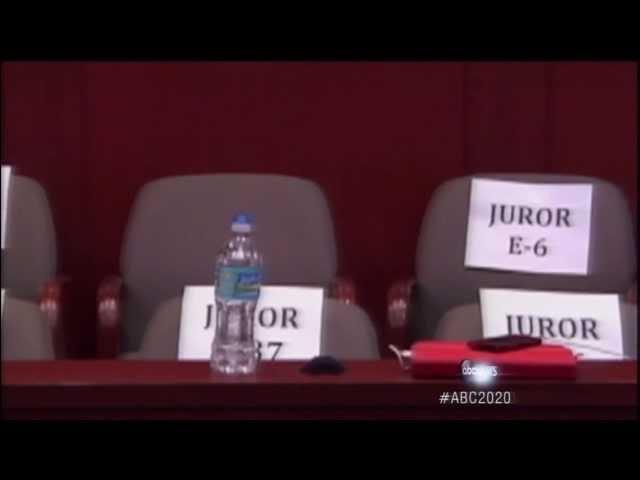 What the Jury Didn't Hear in Zimmerman Trial: Trayvon Martin Photos, Fight Video, Audio Experts