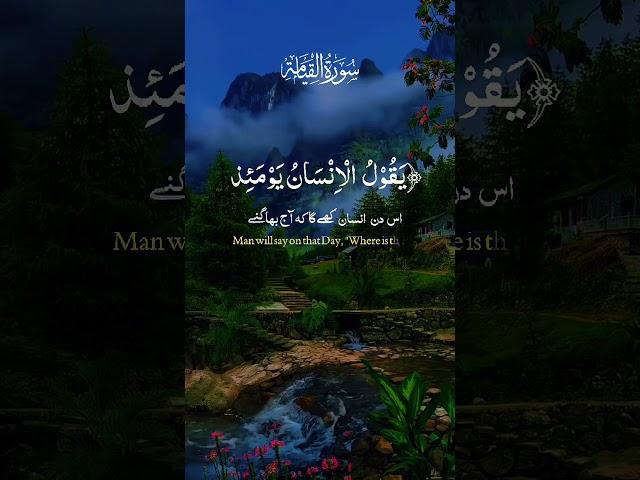 Bismillah #duet #unfrez #quranicverses #love #religioustext #beautiful #holybook #funny #quranverses