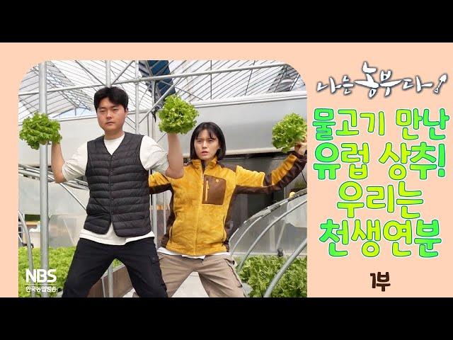 [나는농부다 297회 1부] 물고기 만난 유럽 상추! 우리는 천생연분