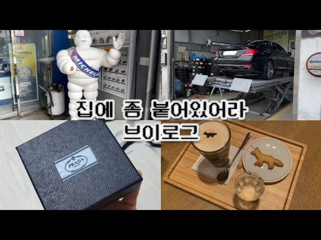 일상vlog •° 미쉐린 파우치 사면 타이어 갈아준다고? 겠냐고 