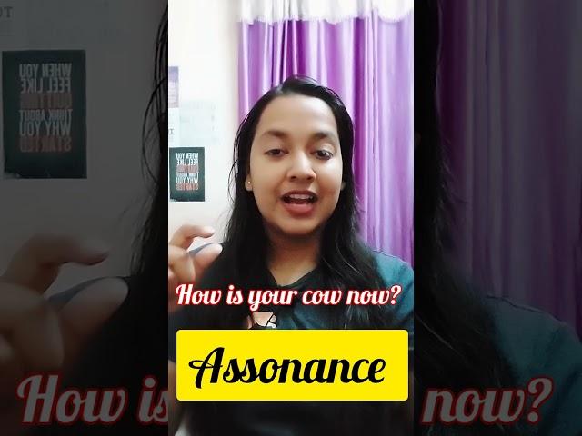 Assonance | Figure of Speech| For UGC NET,PGT, TGT, KVS, NVS, Dsssb, SET| English | #ugcnet #english