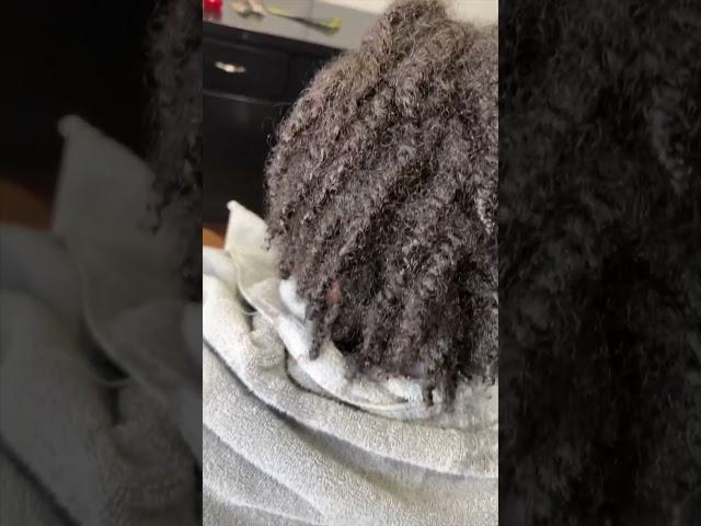 Her very first retwist on starter locs